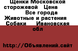 Щенки Московской сторожевой › Цена ­ 35 000 - Все города Животные и растения » Собаки   . Ивановская обл.